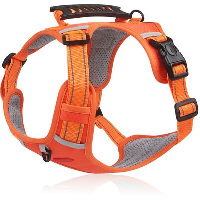 PELTOR Jeffergarden harnais Laisse Réfléchissant Pour Chien - Orange Taille L, Respirant Et Sécuritaire - Voyage/extérieur - Publicité PELTOR Jeffergarden harnais Laisse Réfléchissant Pour Chien - Orange Taille L, Respirant Et Sécuritaire - Voyage/extérieur - Publicité