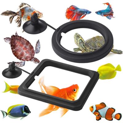 Melissa Anneau De Nourriture Pour Poissons, 2 Pièces Distributeur De Nourriture Pour Poissons Aquarium Réservoir Accessoires Tortue Distributeur De Nourriture Cercle Pour Guppy, Bettas (noir) - Publicité Melissa Anneau De Nourriture Pour Poissons, 2 Pièces Distributeur De Nourriture Pour Poissons Aquarium Réservoir Accessoires Tortue Distributeur De Nourriture Cercle Pour Guppy, Bettas (noir) - Publicité
