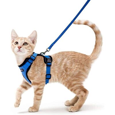 Scotch Harnais Pour Chat Petit Chien Laisse Réglable Bleu Xs Collier De Harnais Pour Chat Réfléchissant Débardeur Respirant Pour Chat Animaux Clip Supérieur Avec Laisse - Publicité Scotch Harnais Pour Chat Petit Chien Laisse Réglable Bleu Xs Collier De Harnais Pour Chat Réfléchissant Débardeur Respirant Pour Chat Animaux Clip Supérieur Avec Laisse - Publicité