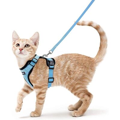 BRINSEA Harnais Chat Petit Chien Laisse Harnais Chaton Réglable Bleu Clair Xs Collier Harnai Chat Refléchissant Gilet Respirant Pour Chat Européen, Maine Coon, Persan, Attache Dessus Avec Laisse-ensoleillé - Publicité BRINSEA Harnais Chat Petit Chien Laisse Harnais Chaton Réglable Bleu Clair Xs Collier Harnai Chat Refléchissant Gilet Respirant Pour Chat Européen, Maine Coon, Persan, Attache Dessus Avec Laisse-ensoleillé - Publicité