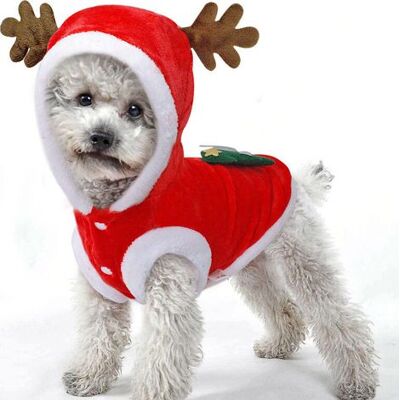 Bunthaus (xl) Tenues De Noël Pour Chien, Chat, Costume De Noël Pour Chien, Pulls De Noël, Manteau À Capuche, Chapeau, Vêtements Pour Animaux De Compagnie, Renne, Déguisement Amusant De Père Noël, Cosp - Publicité Bunthaus (xl) Tenues De Noël Pour Chien, Chat, Costume De Noël Pour Chien, Pulls De Noël, Manteau À Capuche, Chapeau, Vêtements Pour Animaux De Compagnie, Renne, Déguisement Amusant De Père Noël, Cosp - Publicité