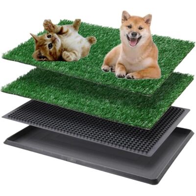 Unbranded Toilette Pour Chien Avec Gazon Artificiel, Bac À Litière Lavable Réutilisable, Tapis D'Entraînement Résistant Pour Petits Chiens, Usage Intérieur Extérieur, Idéal Appartement Balcon, 7651cm - Publicité Unbranded Toilette Pour Chien Avec Gazon Artificiel, Bac À Litière Lavable Réutilisable, Tapis D'Entraînement Résistant Pour Petits Chiens, Usage Intérieur Extérieur, Idéal Appartement Balcon, 7651cm - Publicité