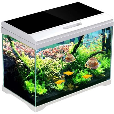 OEM Ensemble Pour Aquarium Sunsun Supreme Aquaplant 30 L - Publicité OEM Ensemble Pour Aquarium Sunsun Supreme Aquaplant 30 L - Publicité