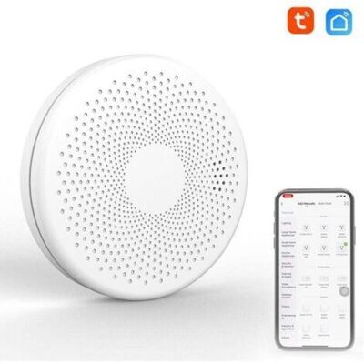 OEM Wifi 2 En 1 Détecteur De Fumée De Monoxyde De Carbone Intelligent Co Détecteur De Son De Gaz Fonction D'Alarme De Lumière Stroboscopique - Publicité OEM Wifi 2 En 1 Détecteur De Fumée De Monoxyde De Carbone Intelligent Co Détecteur De Son De Gaz Fonction D'Alarme De Lumière Stroboscopique - Publicité