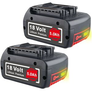 Pdstation - 2x pour Bosch 18V Professional 5.0Ah gba batterie gsr GSb bat618 bat609 bat620 BAT610G - Publicité Pdstation - 2x pour Bosch 18V Professional 5.0Ah gba batterie gsr GSb bat618 bat609 bat620 BAT610G - Publicité