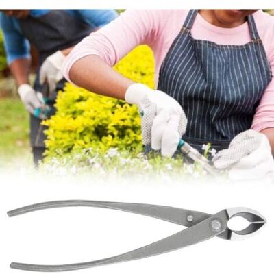 Bunthaus Lntyq Ciseaux À Bonsaï, Coupe-boutons 21 Cm, Pince Concave Multifonctionnelle, Élagueurs, Ciseaux De Jardin En Acier Au Carbone, Outils De Bonsaï Pour Terrasse, Pelouse Jardin, Coupe - Publicité Bunthaus Lntyq Ciseaux À Bonsaï, Coupe-boutons 21 Cm, Pince Concave Multifonctionnelle, Élagueurs, Ciseaux De Jardin En Acier Au Carbone, Outils De Bonsaï Pour Terrasse, Pelouse Jardin, Coupe - Publicité