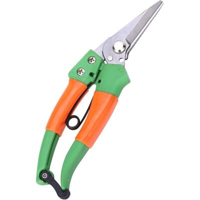 MOXIE Cisailles De Jardin Sharp En Acier Inoxydable,cisailles À Main De Sécateur De Coupe De Coupe De Plante Pointue Pour La Cueillette De Fleurs, De Plantes, De Bonsaïs, De Fruits - Publicité MOXIE Cisailles De Jardin Sharp En Acier Inoxydable,cisailles À Main De Sécateur De Coupe De Coupe De Plante Pointue Pour La Cueillette De Fleurs, De Plantes, De Bonsaïs, De Fruits - Publicité