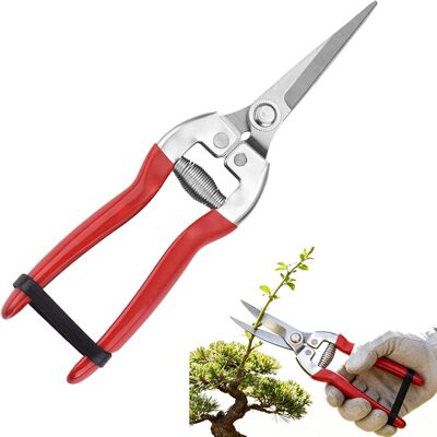 SANS MARQUE Sécateur, Sécateurs À Lames Croisantes, Adapté À La Taille Des Branches Dans Le Jardin Et À La Taille Des Fleurs(rouge) - Publicité SANS MARQUE Sécateur, Sécateurs À Lames Croisantes, Adapté À La Taille Des Branches Dans Le Jardin Et À La Taille Des Fleurs(rouge) - Publicité