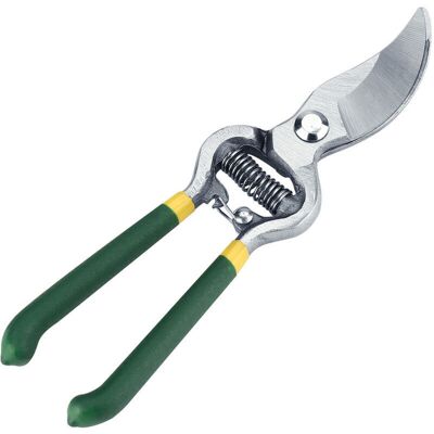 Melissa Sécateur Robust Pour Arbres Fruitiers Et Bonsaïs - Outil De Greffage (vert) - 1 Pièce - Publicité Melissa Sécateur Robust Pour Arbres Fruitiers Et Bonsaïs - Outil De Greffage (vert) - 1 Pièce - Publicité