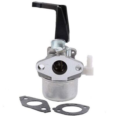 ABYSSE Carburateur 696065 Compatible Avec Briggs & Stratton 696065 697422 110402-0206-e1 - Publicité ABYSSE Carburateur 696065 Compatible Avec Briggs & Stratton 696065 697422 110402-0206-e1 - Publicité