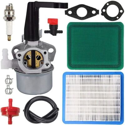 OEM Carburateur Pour Briggs & Stratton 110402 110412 215369 Moteur De Barre Avec 696065 697422 Carburateur Filtre À Air Bougie D'Allumage Joints De Tuyau De Carburant - Publicité OEM Carburateur Pour Briggs & Stratton 110402 110412 215369 Moteur De Barre Avec 696065 697422 Carburateur Filtre À Air Bougie D'Allumage Joints De Tuyau De Carburant - Publicité