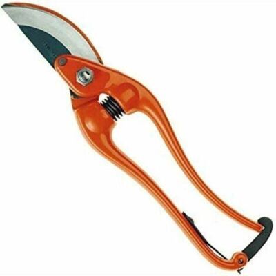 SANS MARQUE Sécateurs Forgés P3-23-f, Couleur Orange, Longueur 230 Mm. Publicité SANS MARQUE Sécateurs Forgés P3-23-f, Couleur Orange, Longueur 230 Mm. Publicité