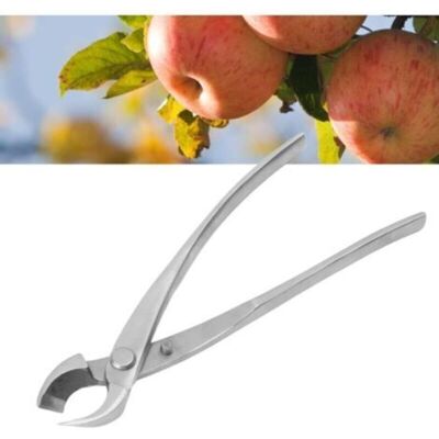 SANS MARQUE Ciseaux À Bonsaï, Sécateurs, Sécateurs De Jardinage, Outils À Bonsaï, Acier Inoxydable, (21 Cm) - Publicité SANS MARQUE Ciseaux À Bonsaï, Sécateurs, Sécateurs De Jardinage, Outils À Bonsaï, Acier Inoxydable, (21 Cm) - Publicité