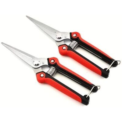 ENLENK Lot De 2 Ciseaux De Jardin – Lames En Acier Inoxydable, Poignées Antidérapantes Pour Taille Et Cueillette - Publicité ENLENK Lot De 2 Ciseaux De Jardin – Lames En Acier Inoxydable, Poignées Antidérapantes Pour Taille Et Cueillette - Publicité
