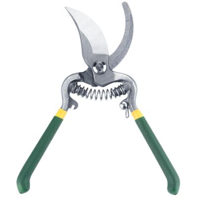 NO BRAND Pair Ciseaux De Jardin Professionnels Pour Taille De Fruitiers Précis Et Ergonomiques Idéal Pour L'Entretien Du Verger Qualité Supérieure - Publicité NO BRAND Pair Ciseaux De Jardin Professionnels Pour Taille De Fruitiers Précis Et Ergonomiques Idéal Pour L'Entretien Du Verger Qualité Supérieure - Publicité