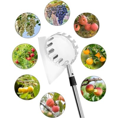 XVX Cueilleur De Fruits Professionnel – Manche Télescopique 4 M, Acier Inoxydable Haute Résistance, Idéal Pour Pommes, Poires Et Cerises - Publicité XVX Cueilleur De Fruits Professionnel – Manche Télescopique 4 M, Acier Inoxydable Haute Résistance, Idéal Pour Pommes, Poires Et Cerises - Publicité