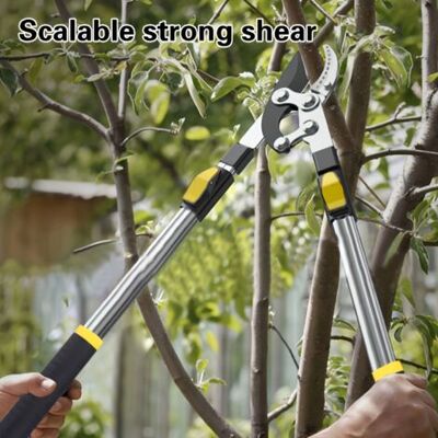 ABYSSE Sécateur Télescopique Professionnel De Dérivation, Sécateur De Jardin Robuste Avec Corps En Métal Et Poignée Ergonomique Pour Les Branches D'Arbres Fruitiers - Publicité ABYSSE Sécateur Télescopique Professionnel De Dérivation, Sécateur De Jardin Robuste Avec Corps En Métal Et Poignée Ergonomique Pour Les Branches D'Arbres Fruitiers - Publicité