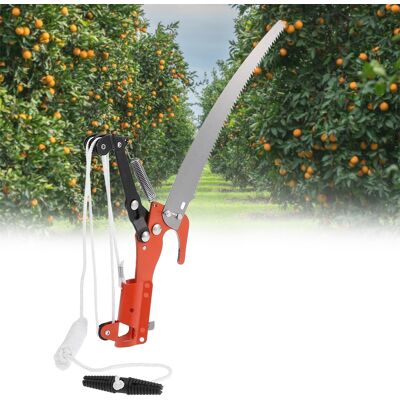 MCKENSA Ciseaux De Jardin 2 En 1 Pour Branches Hautes (scie À Ciseaux, Sans Tige) - Publicité MCKENSA Ciseaux De Jardin 2 En 1 Pour Branches Hautes (scie À Ciseaux, Sans Tige) - Publicité