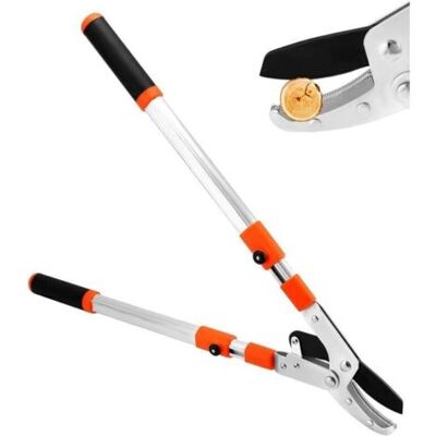 NO BRAND Cisaille À Haie Fiskars 392861-1002 25cm (10") - Lames En Acier Coronium Retaillables Traitées À Chaud" - Publicité NO BRAND Cisaille À Haie Fiskars 392861-1002 25cm (10") - Lames En Acier Coronium Retaillables Traitées À Chaud" - Publicité