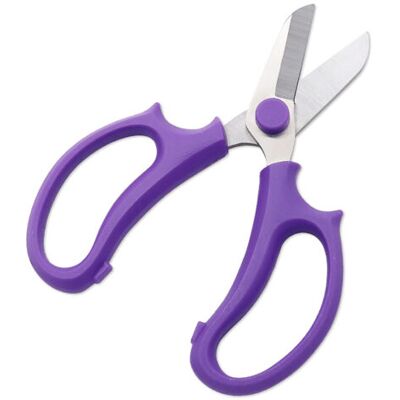Bunthaus Ciseaux De Jardinage En Acier Inoxydable Pour Fleurs Et Art Floral Violet - Publicité Bunthaus Ciseaux De Jardinage En Acier Inoxydable Pour Fleurs Et Art Floral Violet - Publicité