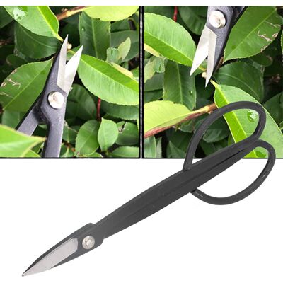 OEM Ciseaux De Jardinage 200mm Pour Taille Des Fleurs Et Bonsaïs - Parfaits Pour La Coupe Des Jeunes Pousses Et Des Branches--crezuo - Publicité OEM Ciseaux De Jardinage 200mm Pour Taille Des Fleurs Et Bonsaïs - Parfaits Pour La Coupe Des Jeunes Pousses Et Des Branches--crezuo - Publicité