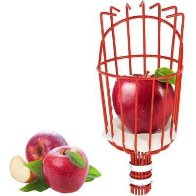 Melissa Cueille Fruits Métallique Avec Griffe, Outil De Cueillette De Fruits Métal, Outils De Jardinage Pour Récolte De Pommes, Agrumes, Poires, Pêches - Publicité Melissa Cueille Fruits Métallique Avec Griffe, Outil De Cueillette De Fruits Métal, Outils De Jardinage Pour Récolte De Pommes, Agrumes, Poires, Pêches - Publicité