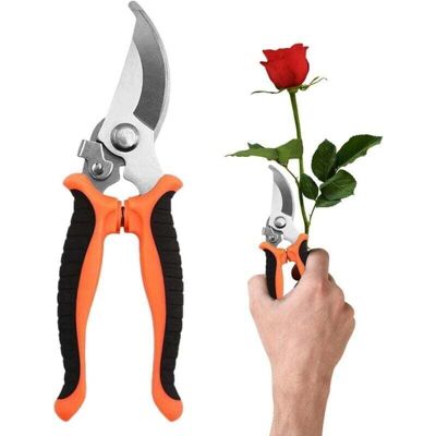 OEM Sécateur De Jardin En Acier - Sécateur À Main Robuste - Sécateur De Jardin - Coupe-fleurs, Ciseaux De Fleuriste, Outils De Jardinage - Publicité OEM Sécateur De Jardin En Acier - Sécateur À Main Robuste - Sécateur De Jardin - Coupe-fleurs, Ciseaux De Fleuriste, Outils De Jardinage - Publicité