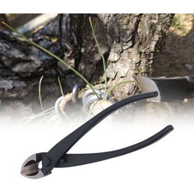 NO BRAND Pair Ciseaux De Jardinage Professionnels Pour Bonsaï, Taille-branche Incliné 210mm - Publicité NO BRAND Pair Ciseaux De Jardinage Professionnels Pour Bonsaï, Taille-branche Incliné 210mm - Publicité