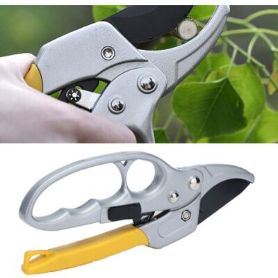 NO BRAND Pair Ciseaux De Jardinage Faciles À Utiliser Pour Taille De Fruit Et Arbustes Lames En Acier Sk-5 Pour Pruning- - Publicité NO BRAND Pair Ciseaux De Jardinage Faciles À Utiliser Pour Taille De Fruit Et Arbustes Lames En Acier Sk-5 Pour Pruning- - Publicité