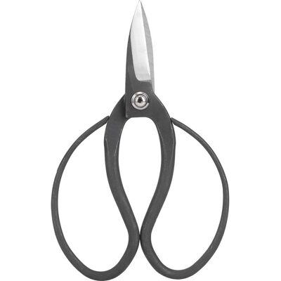 WEYTOLL Ciseaux De Taille De Bonsaï De Jardin En Acier Composite, Outils De Jardinage Pour Débutants - Publicité WEYTOLL Ciseaux De Taille De Bonsaï De Jardin En Acier Composite, Outils De Jardinage Pour Débutants - Publicité