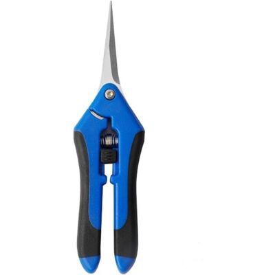 OEM 1 Pcs Sécateur Bleu De Jardin Professionnel Ciseaux Jardinage De Haute Précision Avec Lames En Acier Inoxydable - Publicité OEM 1 Pcs Sécateur Bleu De Jardin Professionnel Ciseaux Jardinage De Haute Précision Avec Lames En Acier Inoxydable - Publicité