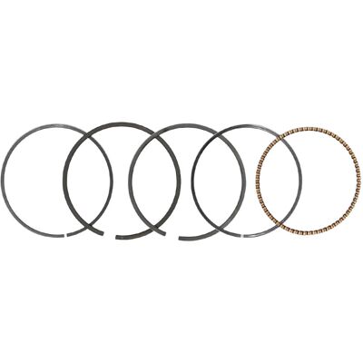 BARKBUSTERS Convient Aux Accessoires Pour Moteurs À Essence Et Générateurs : Segment De Piston 168f, Segment Fin - Publicité BARKBUSTERS Convient Aux Accessoires Pour Moteurs À Essence Et Générateurs : Segment De Piston 168f, Segment Fin - Publicité