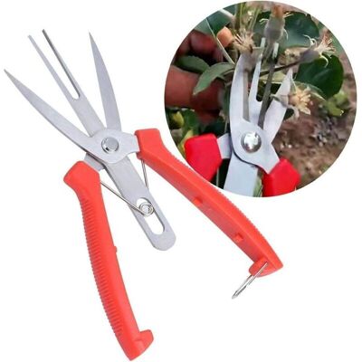 OEM Acier Inoxydable Forge Pommier Poirier Ciseaux Double Bouche Ciseaux Jardinage Coupe Ciseaux Élagage Outils Agricoles Fleur Éclaircie Fruits Sécateur - Publicité OEM Acier Inoxydable Forge Pommier Poirier Ciseaux Double Bouche Ciseaux Jardinage Coupe Ciseaux Élagage Outils Agricoles Fleur Éclaircie Fruits Sécateur - Publicité