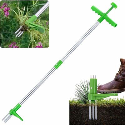 FOGSHIELD Arracher Les Mauvaises Herbes Manuel En Acier Inoxydable À 3 Griffes, Outil De Jardinage, Arrache-pissenlits Pour Le Désherbage Du Jardin - Publicité FOGSHIELD Arracher Les Mauvaises Herbes Manuel En Acier Inoxydable À 3 Griffes, Outil De Jardinage, Arrache-pissenlits Pour Le Désherbage Du Jardin - Publicité