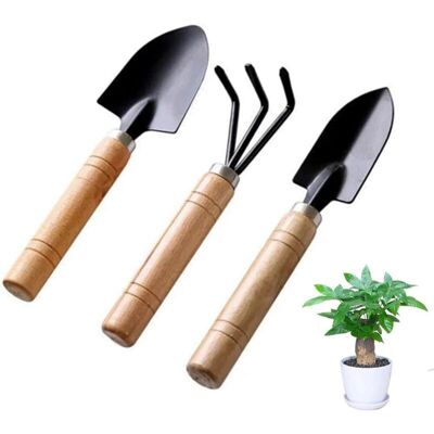 BRINSEA Lot De 3 Mini Outils De Jardinage - Pelle De Jardin - Petite Pelle Légère - Pour Mini Plantes Succulentes En Pot - Outils De Jardinage - Publicité BRINSEA Lot De 3 Mini Outils De Jardinage - Pelle De Jardin - Petite Pelle Légère - Pour Mini Plantes Succulentes En Pot - Outils De Jardinage - Publicité