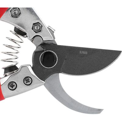 NO BRAND Pair Ciseaux De Jardinage Pour Taille Des Arbres Et Buissons Faciles À Utiliser Pour La Pruning Et L'Entretien Du Jardin - - Publicité NO BRAND Pair Ciseaux De Jardinage Pour Taille Des Arbres Et Buissons Faciles À Utiliser Pour La Pruning Et L'Entretien Du Jardin - - Publicité