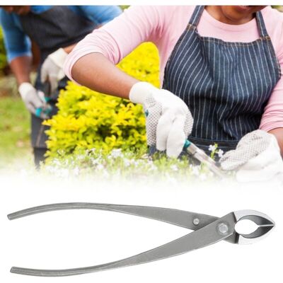 OEM Outils De Jardinage Pour Création De Bonsaï Ciseaux De Taille À Bec Oblique Et Ciseaux De Greffe --crezuo - Publicité OEM Outils De Jardinage Pour Création De Bonsaï Ciseaux De Taille À Bec Oblique Et Ciseaux De Greffe --crezuo - Publicité