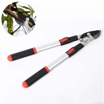 OEM 1pc Ébrancheur Professionnel À Enclume 50–72 Cm, Coupe-branches Lourd À Action Composée, Manches Télescopiques Aluminium, Lame Sk5 Haute Précision, Outil Jardinage - Publicité OEM 1pc Ébrancheur Professionnel À Enclume 50–72 Cm, Coupe-branches Lourd À Action Composée, Manches Télescopiques Aluminium, Lame Sk5 Haute Précision, Outil Jardinage - Publicité