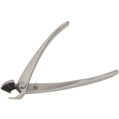 Bunthaus Ciseaux Obliques En Acier Inoxydable 165mm Pour Création De Bonsaïs De Qualité Supérieure - - Publicité Bunthaus Ciseaux Obliques En Acier Inoxydable 165mm Pour Création De Bonsaïs De Qualité Supérieure - - Publicité
