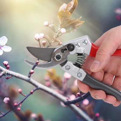 MCKENSA Ciseaux De Taille Pour Plantes De Jardin, Arbres Et Branches, Sécateur Manuel, Accessoires - Publicité MCKENSA Ciseaux De Taille Pour Plantes De Jardin, Arbres Et Branches, Sécateur Manuel, Accessoires - Publicité