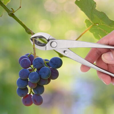 MCKENSA Ciseaux De Jardin Multifonctionnels En Acier Inoxydable Pour La Taille Des Branches Et L'Élagage Des Bonsaïs - Publicité MCKENSA Ciseaux De Jardin Multifonctionnels En Acier Inoxydable Pour La Taille Des Branches Et L'Élagage Des Bonsaïs - Publicité