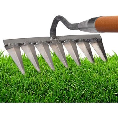 OEM Royaluxe-râteau À Désherber 7 Dents En Acier Au Carbone – Pour Désherbage Et Ameublissement Du Sol – Dents Pointues Pour Efficacité Accrue - Publicité OEM Royaluxe-râteau À Désherber 7 Dents En Acier Au Carbone – Pour Désherbage Et Ameublissement Du Sol – Dents Pointues Pour Efficacité Accrue - Publicité