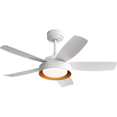ACKERMAN Ventilateur De Plafond 42 Pouces Avec Éclairage Led 22w Et Télécommande, Moteur À Courant Continu Réversible, Blanc Pour Chambre À Coucher - Publicité ACKERMAN Ventilateur De Plafond 42 Pouces Avec Éclairage Led 22w Et Télécommande, Moteur À Courant Continu Réversible, Blanc Pour Chambre À Coucher - Publicité