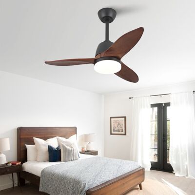 ACKERMAN Ventilateur De Plafond Noir Moderne 36 Pouces, Réglable 3 Températures De Couleur, Pales En Bois Massif, Poignée De Commande, Moteur Dc Réversible, Fonction Mémoire, Finition Élégante Pour La Décorati - Publicité ACKERMAN Ventilateur De Plafond Noir Moderne 36 Pouces, Réglable 3 Températures De Couleur, Pales En Bois Massif, Poignée De Commande, Moteur Dc Réversible, Fonction Mémoire, Finition Élégante Pour La Décorati - Publicité