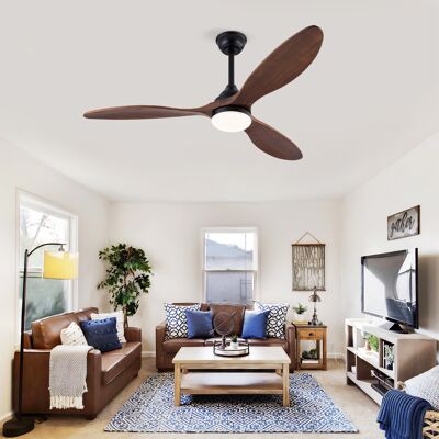 ACKERMAN Bestseller Ventilateur De Plafond Intérieur Noir 52 Pouces Avec Lumière, Led Réglable 3 Cct, 3 Pales En Bois Massif, Moteur Dc Réversible Silencieux Avec Télécommande Et Fonction Mémoire - Publicité ACKERMAN Bestseller Ventilateur De Plafond Intérieur Noir 52 Pouces Avec Lumière, Led Réglable 3 Cct, 3 Pales En Bois Massif, Moteur Dc Réversible Silencieux Avec Télécommande Et Fonction Mémoire - Publicité