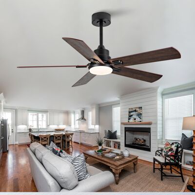 ACKERMAN Ventilateur De Plafond Noir 52 Pouces Avec Lumière Et Télécommande, Ventilateur Intérieur/extérieur Moderne Pour Chambre À Coucher, Salon, Terrasse, Moteur Dc Réversible Silencieux 6 Vitesses, 3 Tempé - Publicité ACKERMAN Ventilateur De Plafond Noir 52 Pouces Avec Lumière Et Télécommande, Ventilateur Intérieur/extérieur Moderne Pour Chambre À Coucher, Salon, Terrasse, Moteur Dc Réversible Silencieux 6 Vitesses, 3 Tempé - Publicité