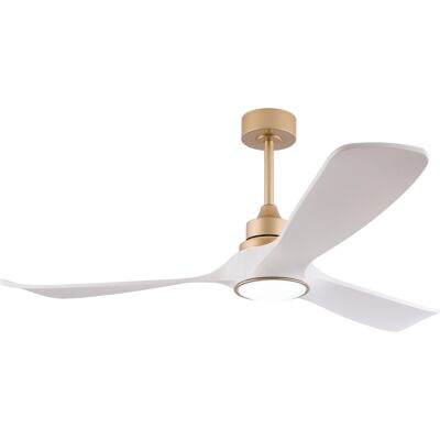 ACKERMAN Ventilateur De Plafond Blanc Et Doré 52 Pouces Avec Lumière Et Télécommande, Fonction De Mémorisation, Moteur Dc Réversible Silencieux, 3 Pales Abs, Ventilateur De Plafond Intérieur Et Extérieur Moder - Publicité ACKERMAN Ventilateur De Plafond Blanc Et Doré 52 Pouces Avec Lumière Et Télécommande, Fonction De Mémorisation, Moteur Dc Réversible Silencieux, 3 Pales Abs, Ventilateur De Plafond Intérieur Et Extérieur Moder - Publicité