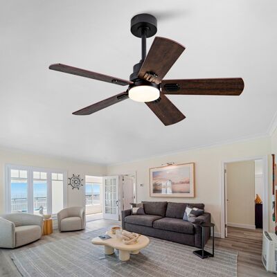 ACKERMAN Ventilateur De Plafond Extérieur Noir 42 Pouces Avec Lumière Et Télécommande, Ventilateur 5 Pales Réglable Pour Terrasse, Ventilateur De Plafond Noir Avec Lumière Pour Chambre À Coucher, Salon En Inté - Publicité ACKERMAN Ventilateur De Plafond Extérieur Noir 42 Pouces Avec Lumière Et Télécommande, Ventilateur 5 Pales Réglable Pour Terrasse, Ventilateur De Plafond Noir Avec Lumière Pour Chambre À Coucher, Salon En Inté - Publicité