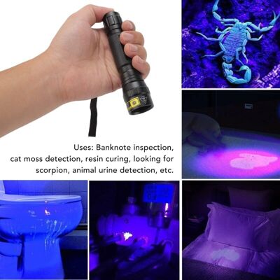 URSUS Jeffergarden Lampe De Poche Uv Professionnelle Haute Luminosité 365 Nm Uv Led Mini Lampe De Poche Pour Détecteur D'Urine Pour Animaux De Compagnie Durcissement De La Résine Lampe De Poche À Lumière No - Publicité URSUS Jeffergarden Lampe De Poche Uv Professionnelle Haute Luminosité 365 Nm Uv Led Mini Lampe De Poche Pour Détecteur D'Urine Pour Animaux De Compagnie Durcissement De La Résine Lampe De Poche À Lumière No - Publicité