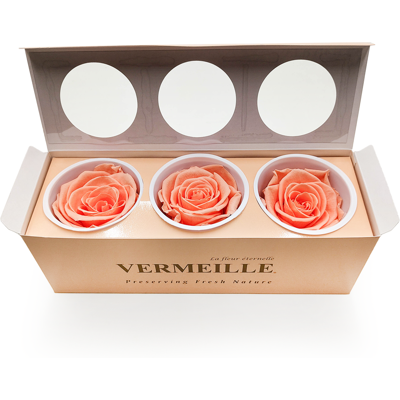 OEM Rose Stabilisée - Pêche - Xl - 3 Pièces - Publicité OEM Rose Stabilisée - Pêche - Xl - 3 Pièces - Publicité